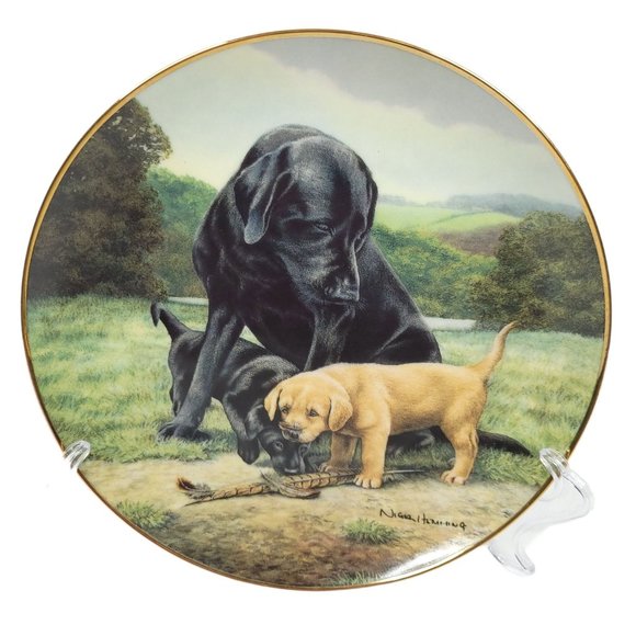 Royal Doulton Black Labrador Collector Plates Set of 4 Franklin Mint Puppies 8" - Picture 7 of 11